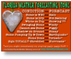 FL WEATHER FORECASTING STONE